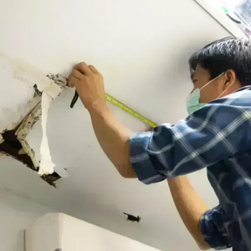 Ceiling And Wall Water Damage in Marina del Rey, CA