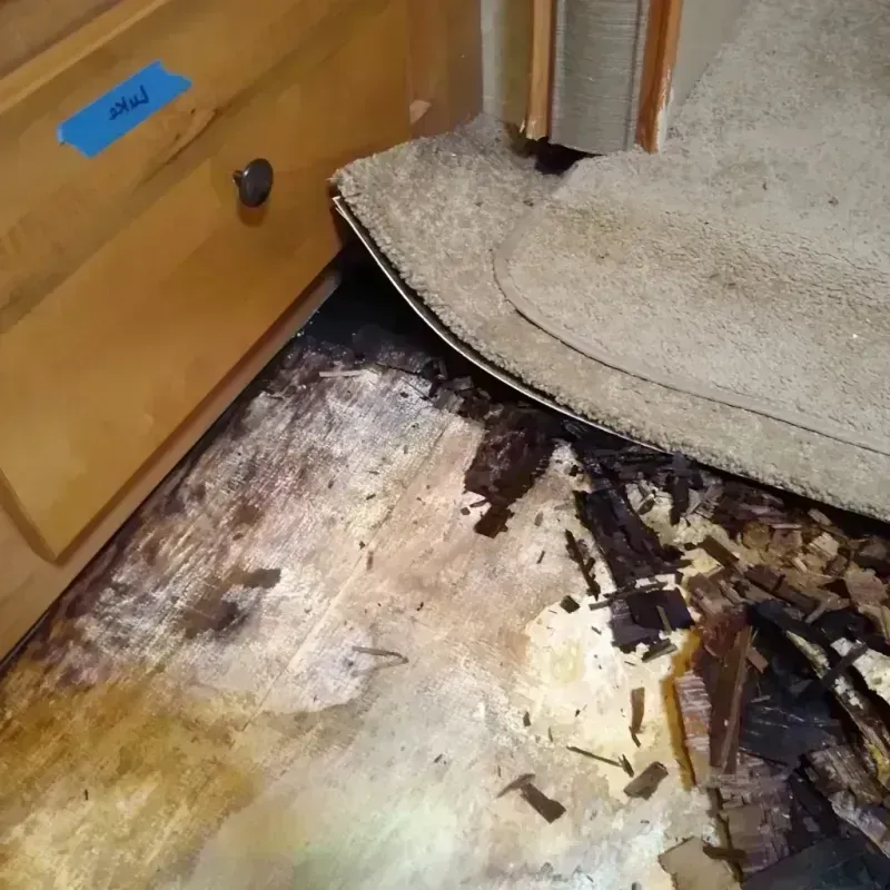 Wood Floor Water Damage in Marina del Rey, CA